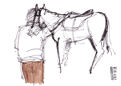 Cavalo #3