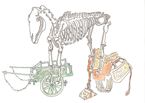 W#1 – Museu Militar: esqueleto de cavalo, carroça e sela